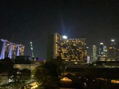 -新加坡泛太平洋酒店