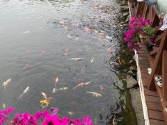 -水云涧温泉滑雪度假区