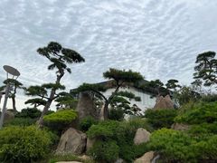 -罗红摄影艺术馆