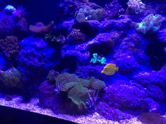 -成都浩海立方海洋公园