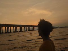 -宝安西湾红树林湿地公园