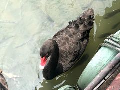-长鹿旅游休博园