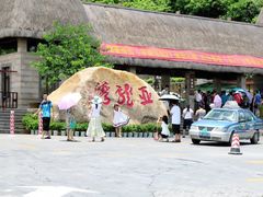 IMG_39111-三亚亚龙湾人间天堂鸟巢度假村