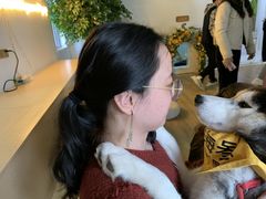 -Husky Go! 哈士奇体验馆·宠物咖啡厅狗咖