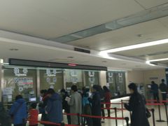 -同济大学附属口腔医院
