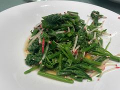 呛拌丝瓜苗-西贝海鲜汇(槐安路店)