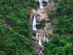 -玉苍山国家森林公园
