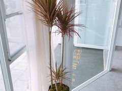 -拾光里·Cake 私人订制蛋糕甜品台