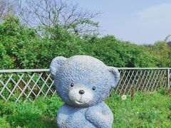 -大塘金香草谷