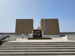 -合肥滨湖国家森林公园