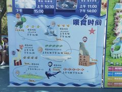 -秦皇岛乐岛海洋王国