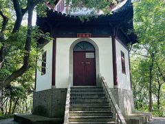 -上海佘山国家森林公园天马山园