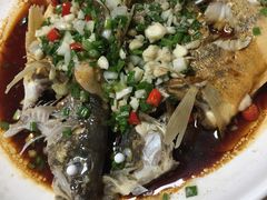 -全乐鱼馆·淳牌有机鱼直营店