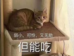 -内蒙焖面大盆骨餐馆(山大路店)