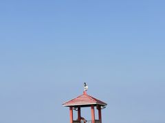 -天津东疆湾沙滩景区