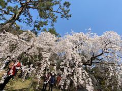 -京都御所
