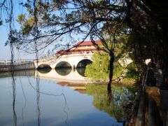 -大湾区中央湿地公园
