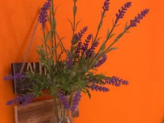 -泰古龙抓龙筋·spa按摩(静安店)