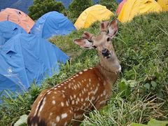 -萍乡武功山风景名胜区