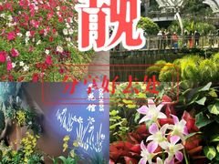 -云溪植物园