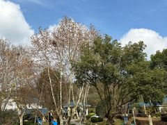 -汤山一号温泉度假区