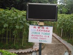 -晓港公园