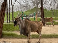 -北京野生动物园