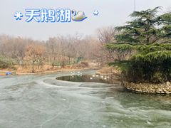 -青岛动物园