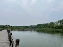 -溱湖国家湿地公园