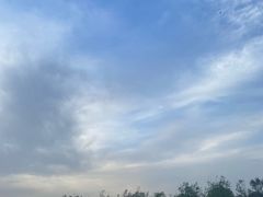 -绿堤公园