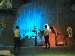 -清迈夜间动物园