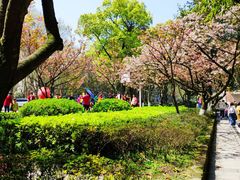 -南山植物园