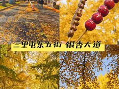 -三里屯东五街银杏大道
