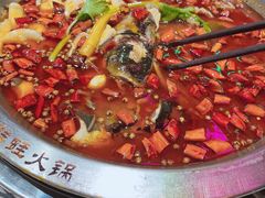 -蛙一刀·麻椒鱼火锅(金仙桥店)
