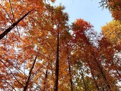 -白鹭湾湿地公园