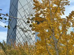 -中央广播电视总台(光华路办公区)