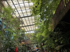 -呀路古热带植物园