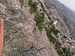 -方山国家森林公园
