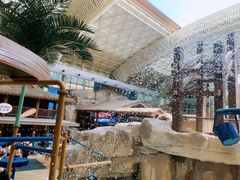 -杭州开元森泊度假乐园