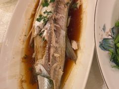 清蒸白水鱼-全聚德(上海首店浦东店)