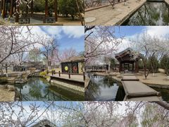 -三里河公园