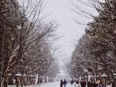 -北海道神宫
