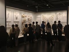 -四川大学博物馆