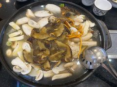 -草墩罗非鱼庄•野生菌•腊排骨(七星街上段店)