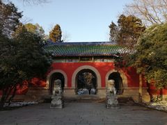 -灵谷景区