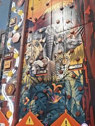 -卡通尼·Safari非洲探索乐园·生日会(金桥国际商业广场店)