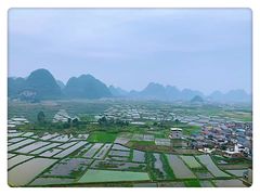 -会仙湿地