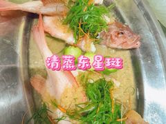 -石岐乳鸽村(南海第三分店)