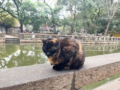 -西园戒幢律寺