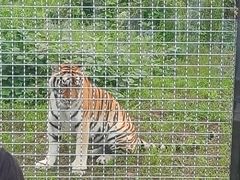 -祥源·阜阳生态乐园